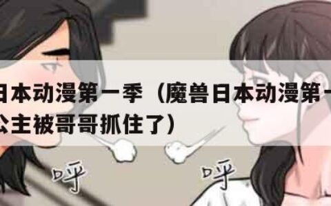 魔兽日本动漫第一季（魔兽日本动漫第一季精灵族公主被哥哥抓住了）