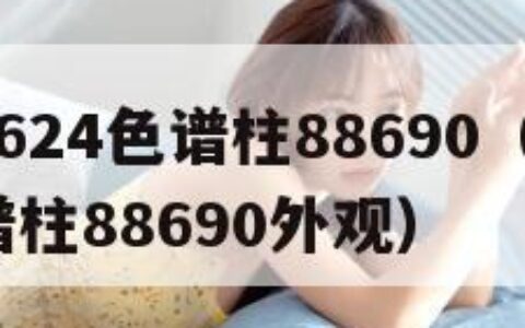 国产DB624色谱柱88690（国产db624色谱柱88690外观）