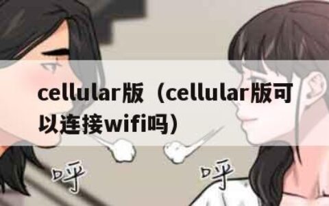 cellular版（cellular版可以连接wifi吗）