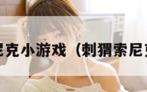 刺猬索尼克小游戏（刺猬索尼克游戏2）