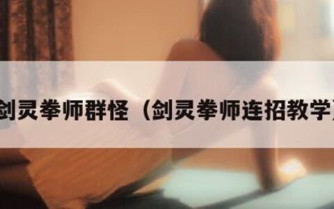 剑灵拳师群怪（剑灵拳师连招教学）