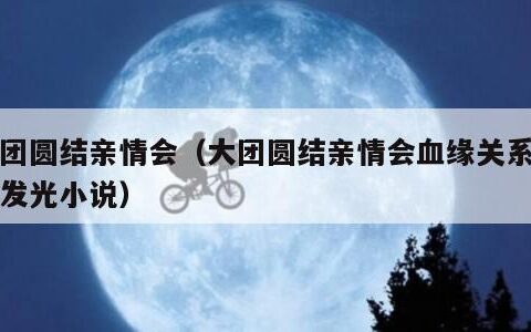 大团圆结亲情会（大团圆结亲情会血缘关系闪闪发光小说）