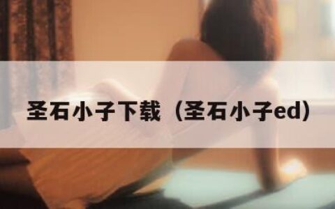 圣石小子下载（圣石小子ed）