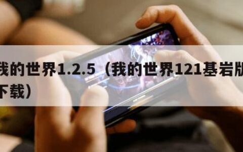 我的世界1.2.5（我的世界121基岩版下载）