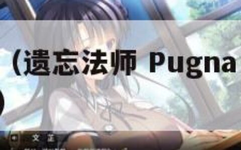 遗忘法师（遗忘法师 Pugna 普格纳打一数字几）