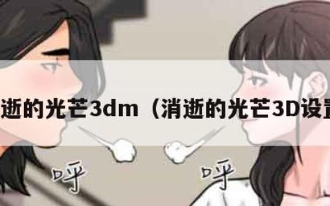 消逝的光芒3dm（消逝的光芒3D设置）
