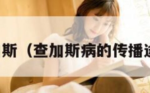 查加斯（查加斯病的传播途径）