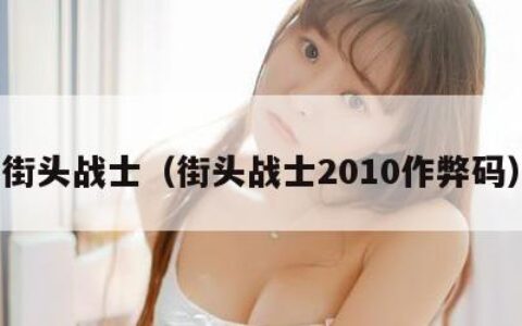 街头战士（街头战士2010作弊码）