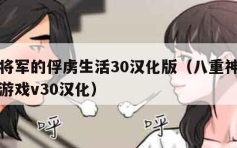 雷电将军的俘虏生活30汉化版（八重神子的惩罚游戏v30汉化）