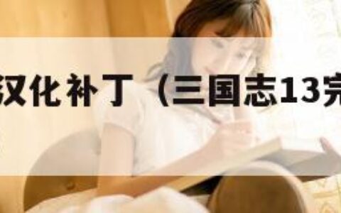 三国志13汉化补丁（三国志13完全汉化手机版下载）