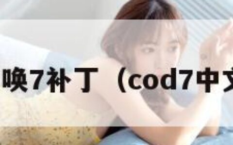 使命召唤7补丁（cod7中文补丁）