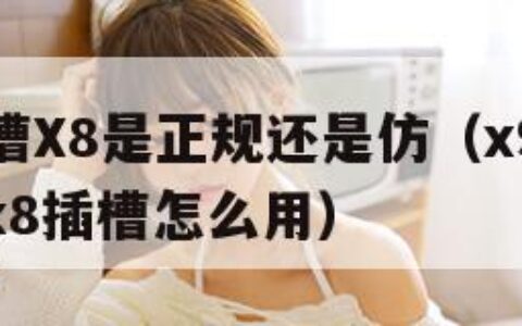 日本插槽X8是正规还是仿（x9x9x9x9x9x9x8插槽怎么用）