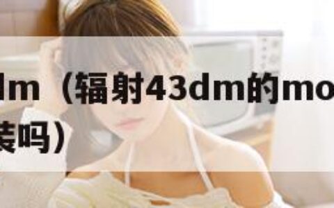 辐射43dm（辐射43dm的mod可以在mo2安装吗）