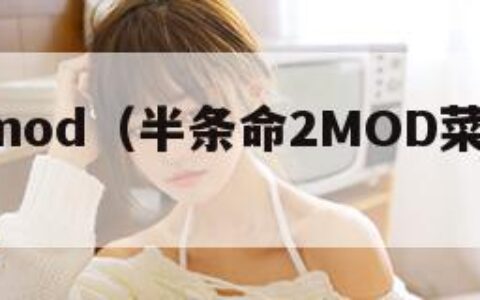 半条命2mod（半条命2MOD菜单最新版）
