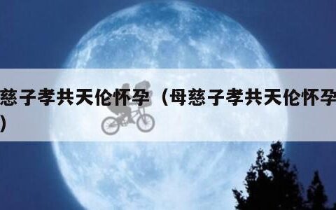 母慈子孝共天伦怀孕（母慈子孝共天伦怀孕动漫）