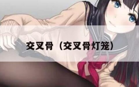 交叉骨（交叉骨灯笼）