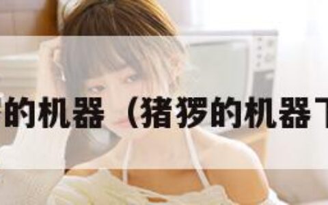 猪猡的机器（猪猡的机器下载）