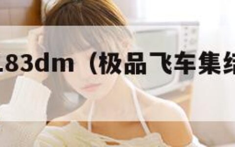 极品飞车183dm（极品飞车集结捏脸代码）