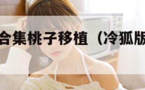 冷狐版游戏合集桃子移植（冷狐版游戏合集游戏）