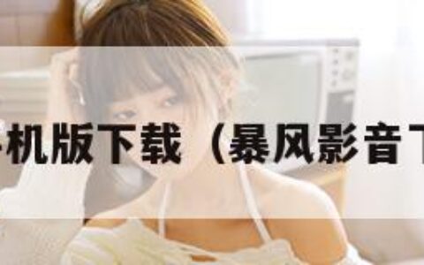 暴风影音手机版下载（暴风影音下载安卓版）