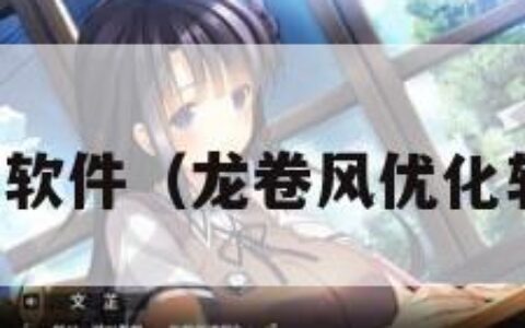 龙卷风优化软件（龙卷风优化软件刷排名）