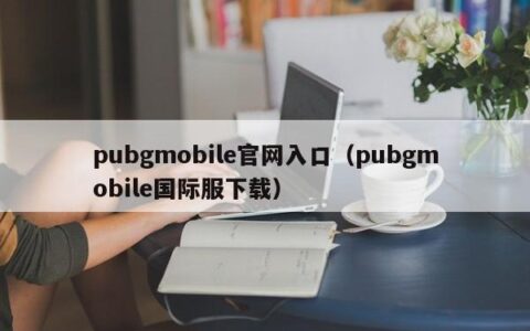 pubgmobile官网入口（pubgmobile国际服下载）