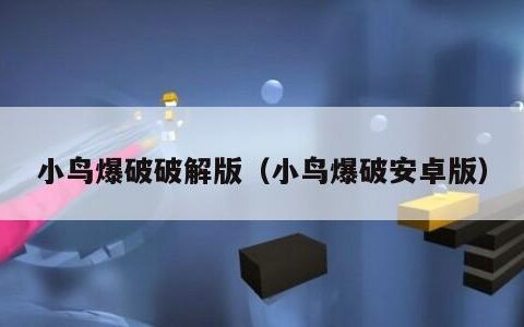 小鸟爆破破解版（小鸟爆破安卓版）