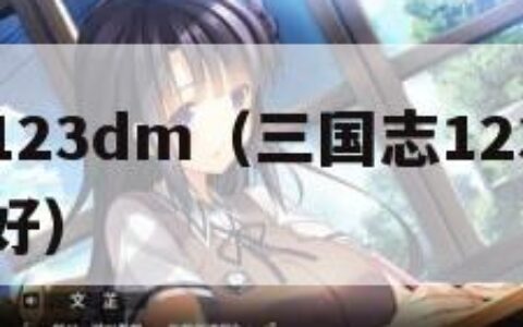 三国志123dm（三国志12345678哪个最好）