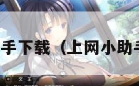 上网助手下载（上网小助手下载）