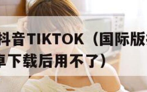 国际版抖音TIKTOK（国际版抖音tiktok安卓下载后用不了）