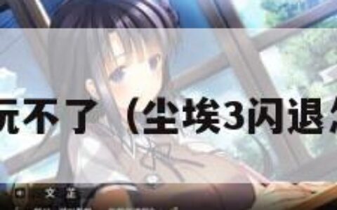 尘埃3玩不了（尘埃3闪退怎么办）