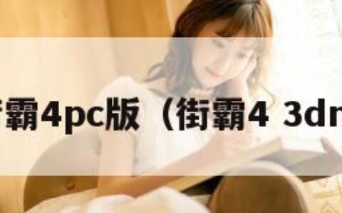 街霸4pc版（街霸4 3dm）