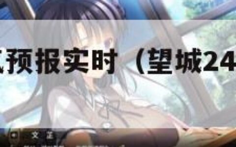 24小时天气预报实时（望城24小时天气预报实时）