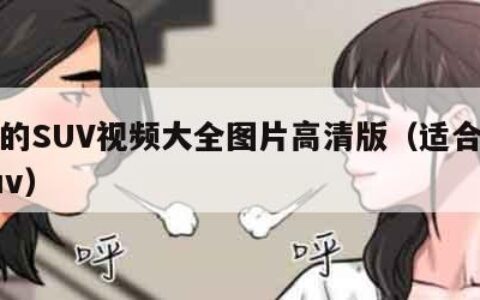 好看的SUV视频大全图片高清版（适合夫妻的suv）