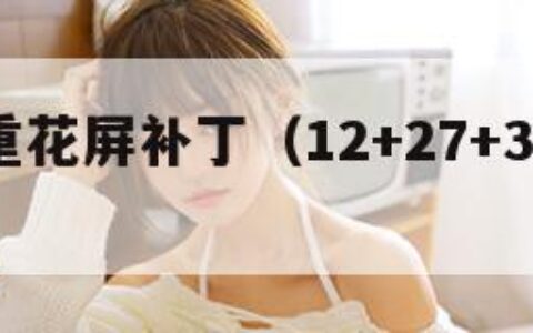 传奇盟重花屏补丁（12+27+35等于多少）