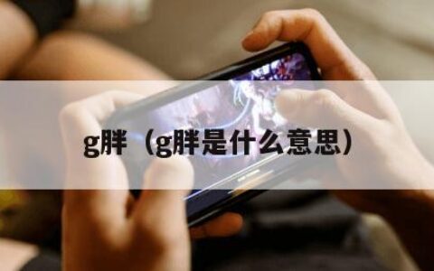 g胖（g胖是什么意思）