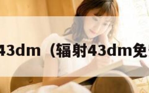 辐射43dm（辐射43dm免安装）