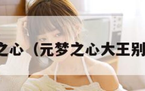 元梦之心（元梦之心大王别抓我）