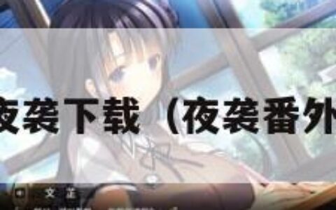 夜袭下载（夜袭番外）