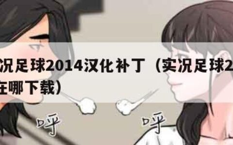 实况足球2014汉化补丁（实况足球2014在哪下载）