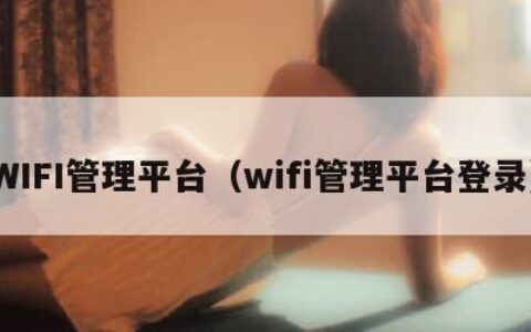 WIFI管理平台（wifi管理平台登录）