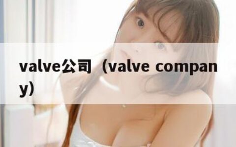 valve公司（valve company）
