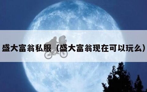 盛大富翁私服（盛大富翁现在可以玩么）