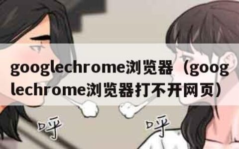 googlechrome浏览器（googlechrome浏览器打不开网页）
