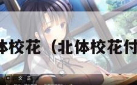 北体校花（北体校花付佳）