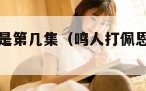 鸣人打佩恩是第几集（鸣人打佩恩是哪一集结束）