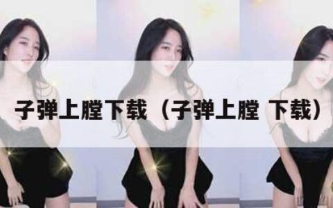 子弹上膛下载（子弹上膛 下载）