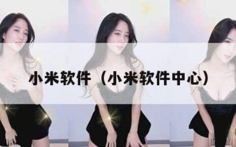 小米软件（小米软件中心）