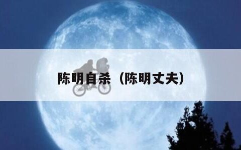 陈明自杀（陈明丈夫）