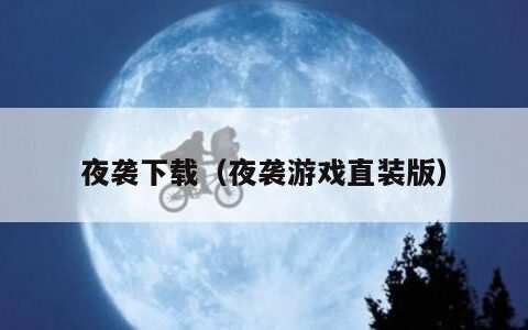 夜袭下载（夜袭游戏直装版）